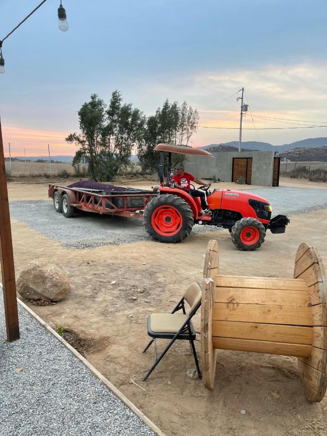 Finca Cazosa Valle de Guadalupe Eksteriør bilde