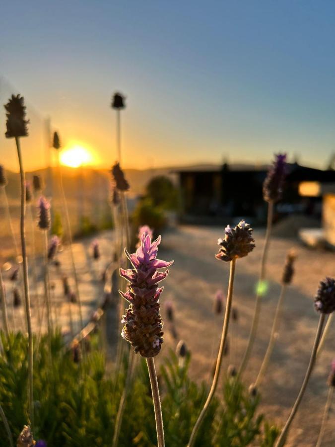 Finca Cazosa Valle de Guadalupe Eksteriør bilde