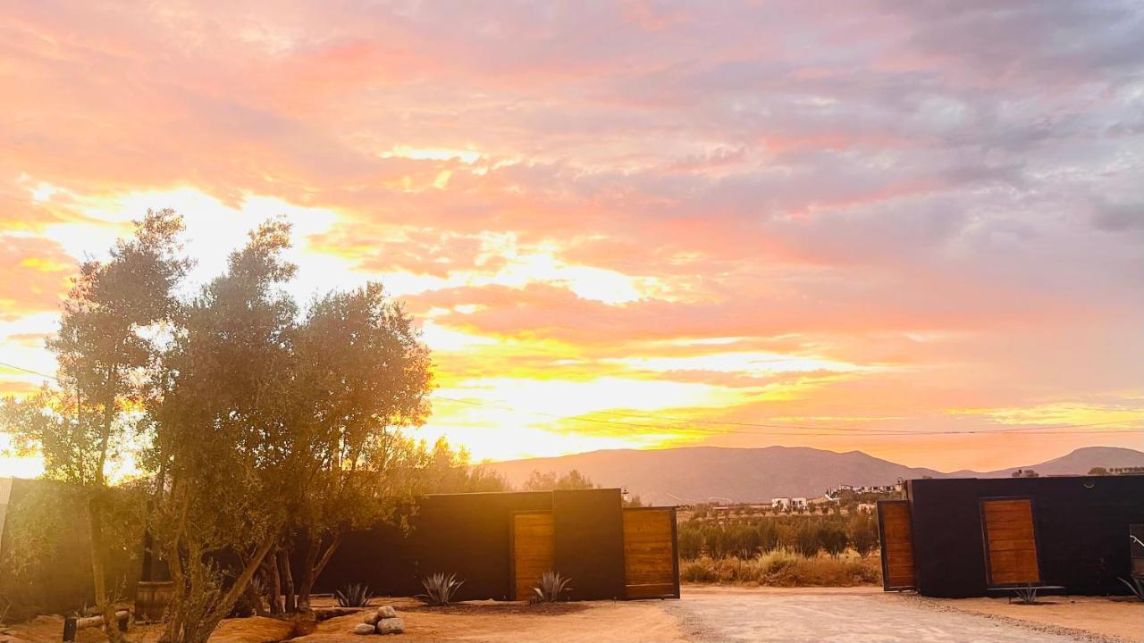 Finca Cazosa Valle de Guadalupe Eksteriør bilde