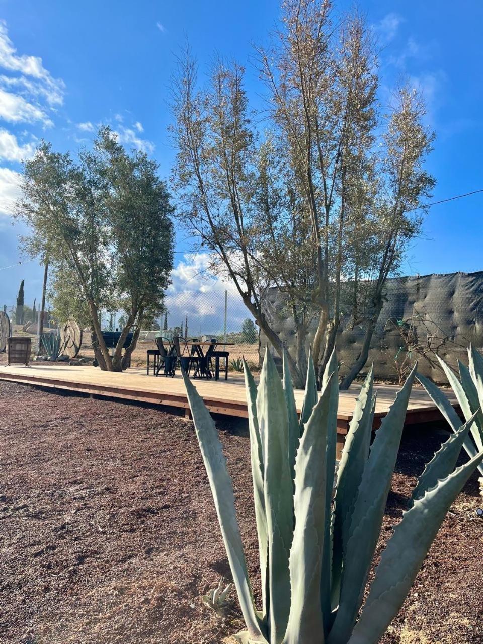 Finca Cazosa Valle de Guadalupe Eksteriør bilde
