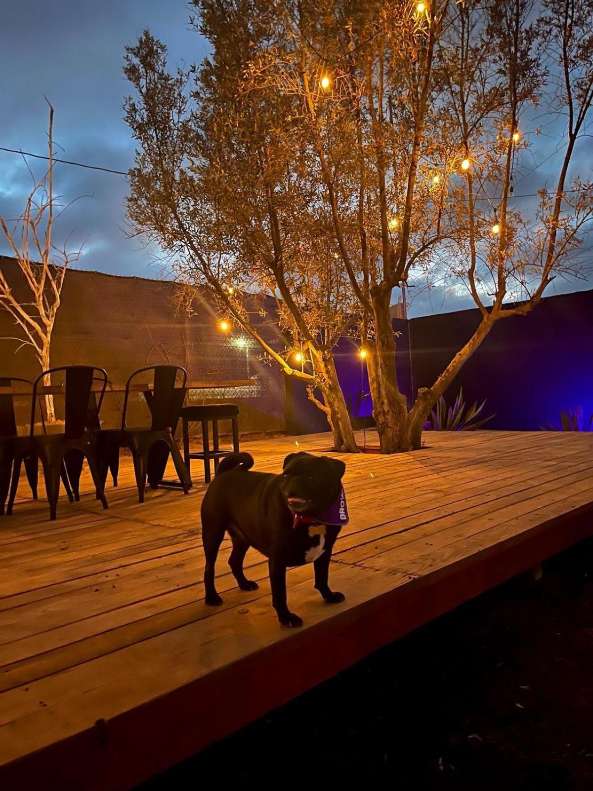 Finca Cazosa Valle de Guadalupe Eksteriør bilde